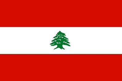لبنان از رژیم صهیونیستی در شورای امنیت سازمان ملل شکایت کرد