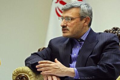 یادداشت بعیدی نژاد درباره رای دهندگان ایرانی در انگلیس
