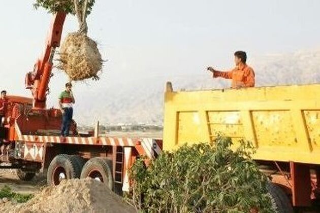 دانشجویان برای حل مشکل ریزگردهای خوزستان درختکاری می کنند