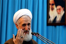 وزارت خارجه اقدام عزتمندانه‌ای در مقابل آلمان داشته باشد