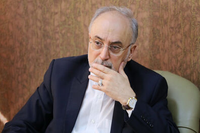 علی اکبر صالحی وارد وین شد