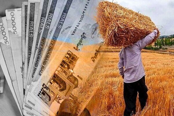 قیمت جدید خرید تضمینی گندم اعلام می شود