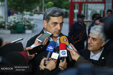 مکالمه پیروز حناچی با شهردار وین حول محور ویروس کرونا