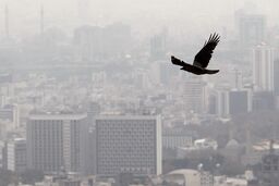 تصمیمی برای کاهش آلودگی هوا
