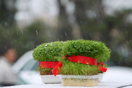 آماده‌باش آتش‌نشانی برای سیزده‌بدر