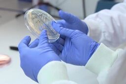 جلوگیری از صادرات ۲۸ میلیون جفت دستکش بهداشتی