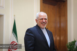 ظریف وارد اربیل شد
