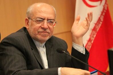 انتقاد نعمت زاده از واگذاری بنگاه ها بابت رد دیون دولت