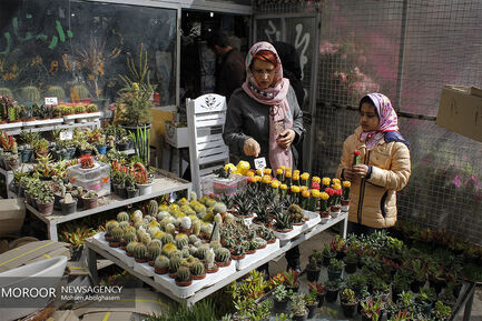 بازار گل شهید محلاتی