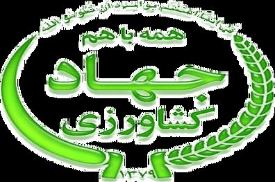 تراز تجاری منفی در عرصه کشاورزی کمی بهبود یافته است