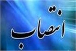 حجت‌الاسلام انصاری مشاور وزیر ارشاد در امور ایثارگران شد