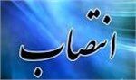 انتصاب اعضای جدید هیات عامل بانک ایران زمین