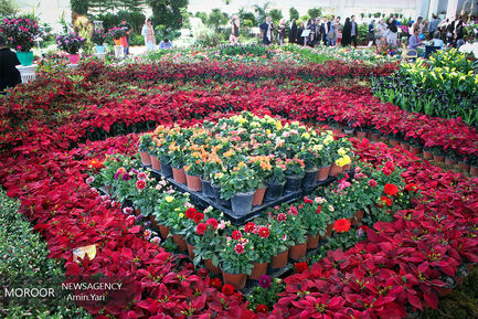نمایشگاه گل و گیاه 