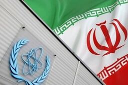 دور جدید رایزنی ایران و آژانس در تهران انجام می شود