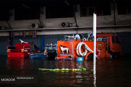 جاری شدن سیل در تایلند