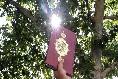 بار دیگر اهانت به قرآن کریم در دانمارک