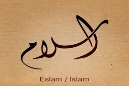 تعادل در اسلام اصل مهمی است