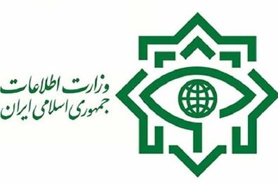 وزارت اطلاعات فعالیت مدیران دو تابعیتی در دولت را تکذیب کرد
