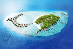 هواداران انگلیس به 