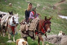 عشایر فقط ۶ میلیارد وام بلاعوض گرفته اند