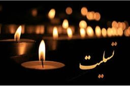 پیام تسلیت مدیر امور حوزه مدیرعامل و روابط عمومی بانک سینا به مناسبت درگذشت خبرنگاران حوزه محیط زیست