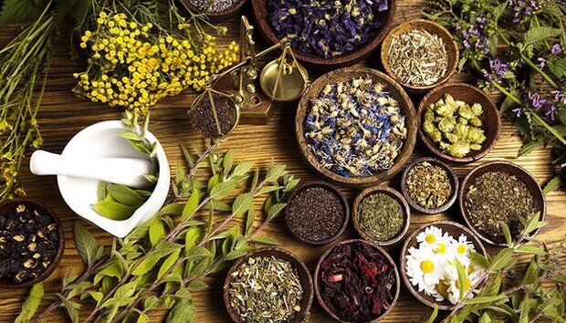 تولید ۱۰ برابری داروها و محصولات گیاهی
