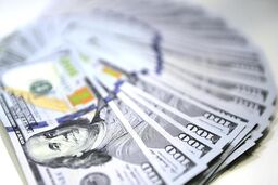 شرکت گیتی فولاد نوین ارز دولتی برای واردات عدس گرفت