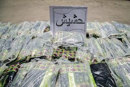 دستگیری ۵۱۱۰ متهم در ارتباط با جرایم موادمخدر در کشور