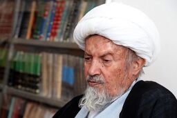 عیادت وزیر اطلاعات از آیت الله مؤمن