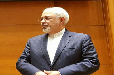 برنامه‌های کاری ظریف در اولین روز سفر به هند