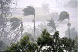طوفان به 5 شهرستان گلستان خسارت زد