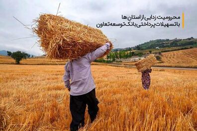 محرومیت زدایی از استان ها با تسهیلات پرداختی بانک توسعه تعاون