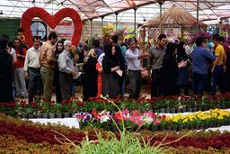 نوسانات شدید ارزی گلخانه ها را با مشکل مواجه کرده است/ کاهش سرانه مصرف گل و گیاه برای هر ایرانی