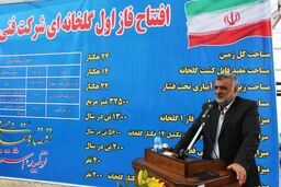 افزایش بهره وری تولید و اشتغال با اجرای طرح توسعه گلخانه‌ها در کشور/ دولت تسهیلات توسعه گلخانه را بدون محدودیت پرداخت می کند