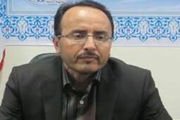 صادرات بیش از ۳.۵ هزار تن خوراک طیور از خراسان‌جنوبی به افغانستان