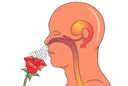 دلیل از دست دادن حس بویایی پس از ابتلا به کرونا شناسایی شد
