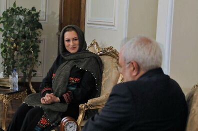 نماینده جدید یونیدو در ایران با وزیر امور خارجه کشورمان دیدار کرد