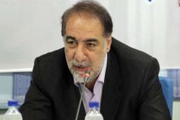 معاون عمرانی استاندار تهران: تمامی روستاهای استان طرح هادی دارند