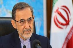 ولایتی حمله تروریستی به مسجد شیعیان پیشاور پاکستان را محکوم کرد