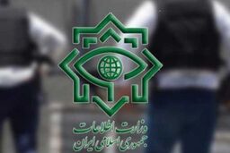 شبکه بزرگ قاچاق حرفه‌ای ارز منهدم شد