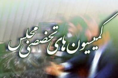  ۷ وزیر دولت به کمیسیون‌ های تخصصی مجلس می‌روند
