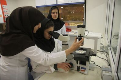 دستیابی به دانش فنی ساخت سیستم رهگیر چشمی