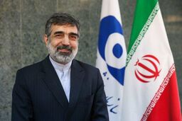 آخرین محموله کیک زرد فردا وارد کشور می‌شود