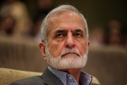 خرازی با وزیر امور خارجه ایتالیا دیدار کرد