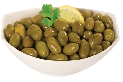 نیازی به واردات میوه زیتون نداریم