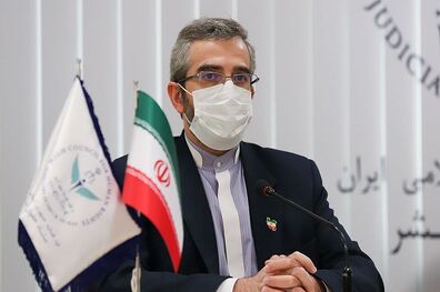 خشونت و هرج و مرج تبلیغ شده از سوی غرب جان 30 پلیس ما را گرفت