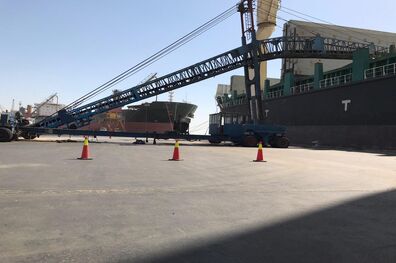 بارگیری دومین محموله صادراتی گندم در بندر امام خمینی