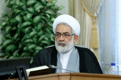 دستگاه قضایی متصدی و متولی اولیه صیانت از منابع ملی نیست