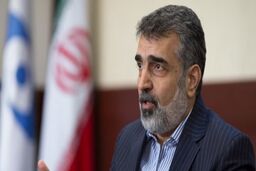 در تعمیرات نیروگاه اتمی بوشهر تا دو سال آینده  بی‌نیاز می ‌شویم