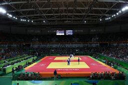 تایید اساسنامه فدراسیون جودوی ایران از سوی IJF